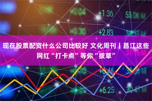 现在股票配资什么公司比较好 文化周刊丨昌江这些网红“打卡点”等你“拔草”